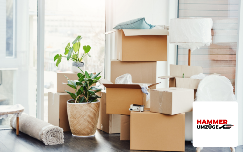 Webdesign Agentur Wiesbaden Referenz Umzugsunternehmen